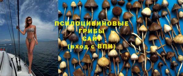 хмурый Абинск